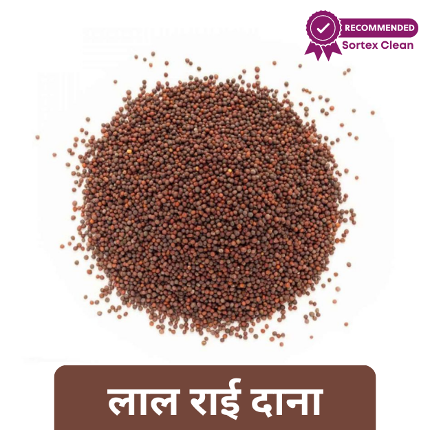 JSN BANARASI Mustard Seeds (Rai) 100GM